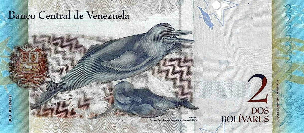 Venezuela - 2 Bolivares 2013 (# 88f)
