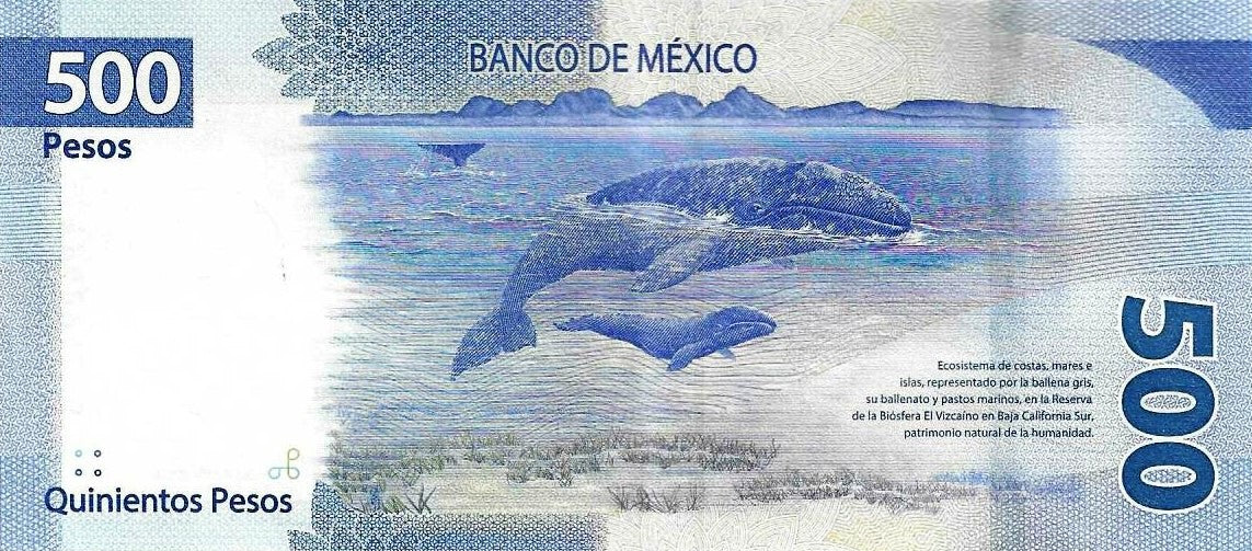 Mexico - 500 Pesos 2024 (# 136)