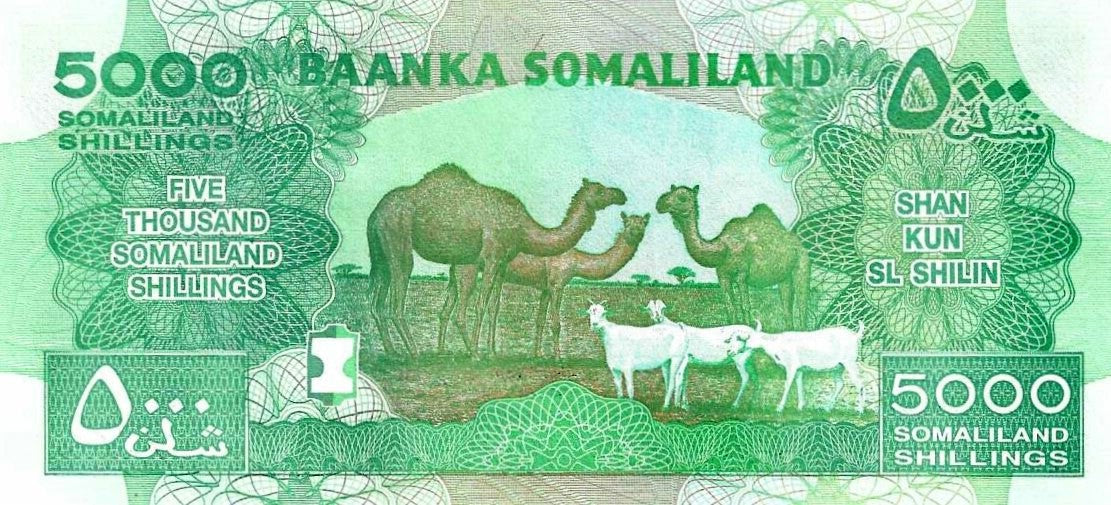 Somalilândia - 5000 Shillings 2015 (# 21c)