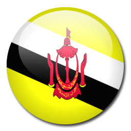 Brunei - 50 Sen 2010 (Km# 38)