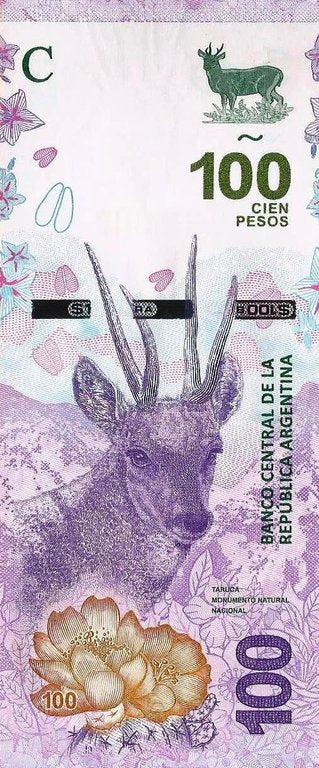 Argentina - 100 Pesos 2019 (# 363A)