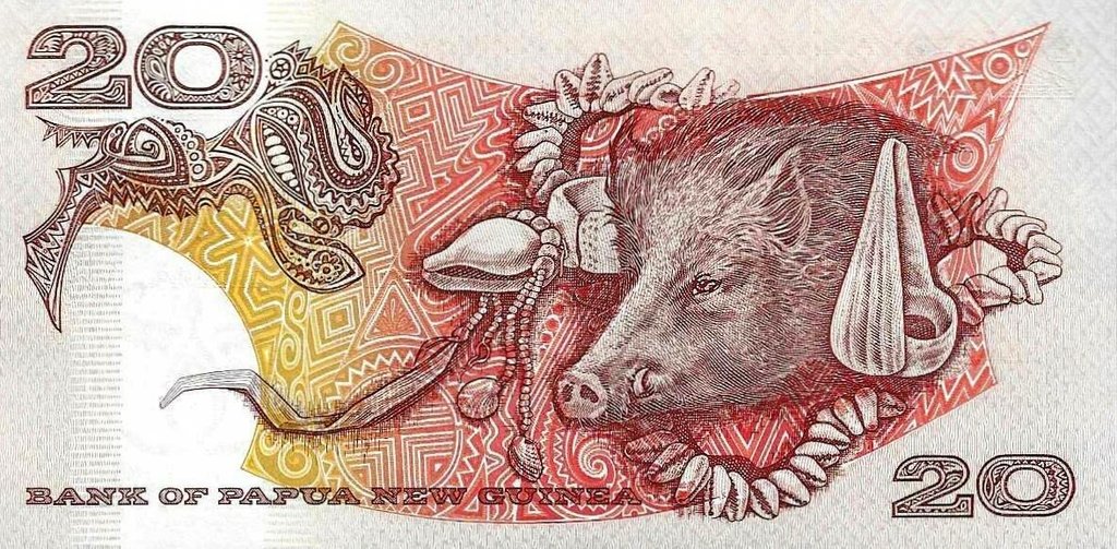 Papua N. Guiné - 20 Kina 1995 (# 10b)