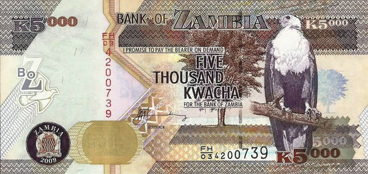 Zambia - 5000 Kwacha 2009 (# 45e)
