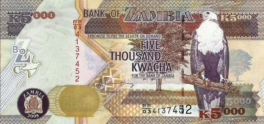 Zambia - 5000 Kwacha 2008 (# 45d)