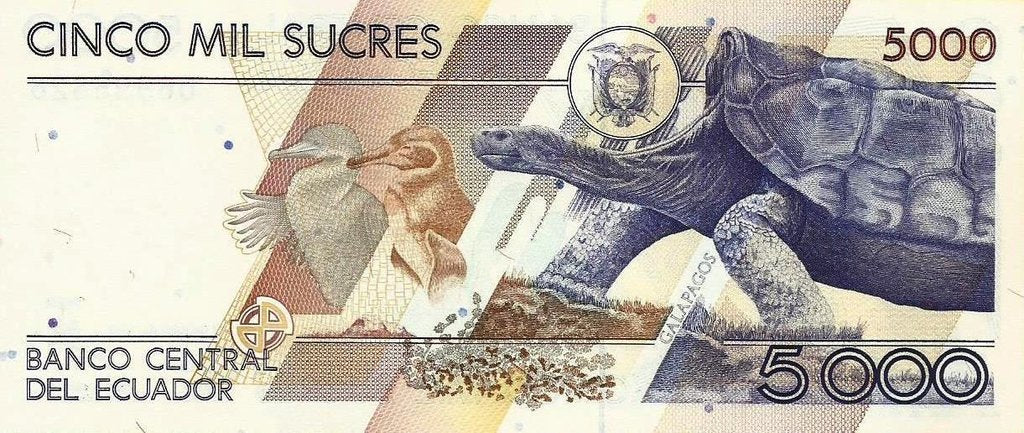 Equador - 5000 Sucres 1999 (# 128c)