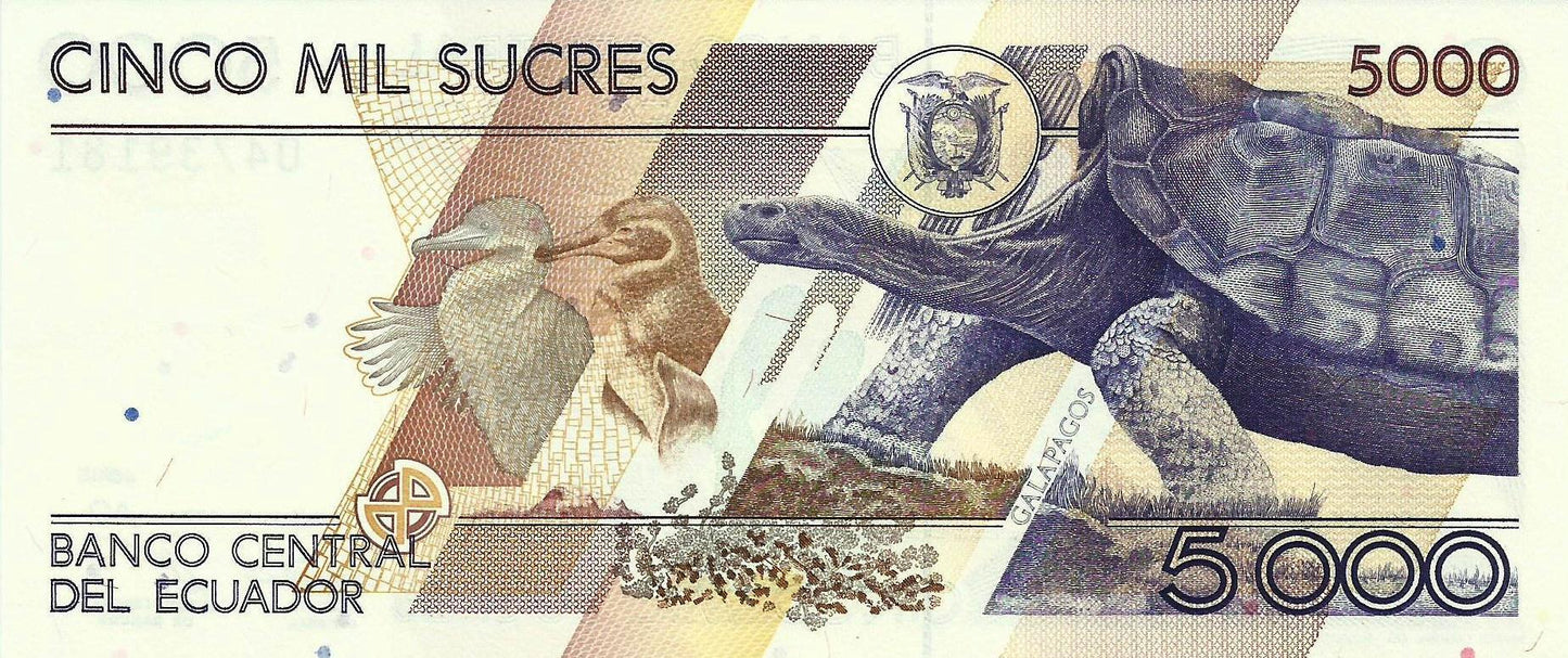Equador - 5000 Sucres 1999 (# 128c)