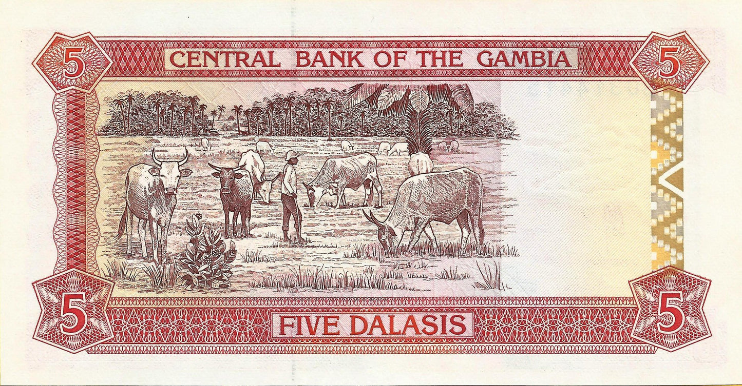 Gambia - 5 Dalasis 1991/5 (# 12b)