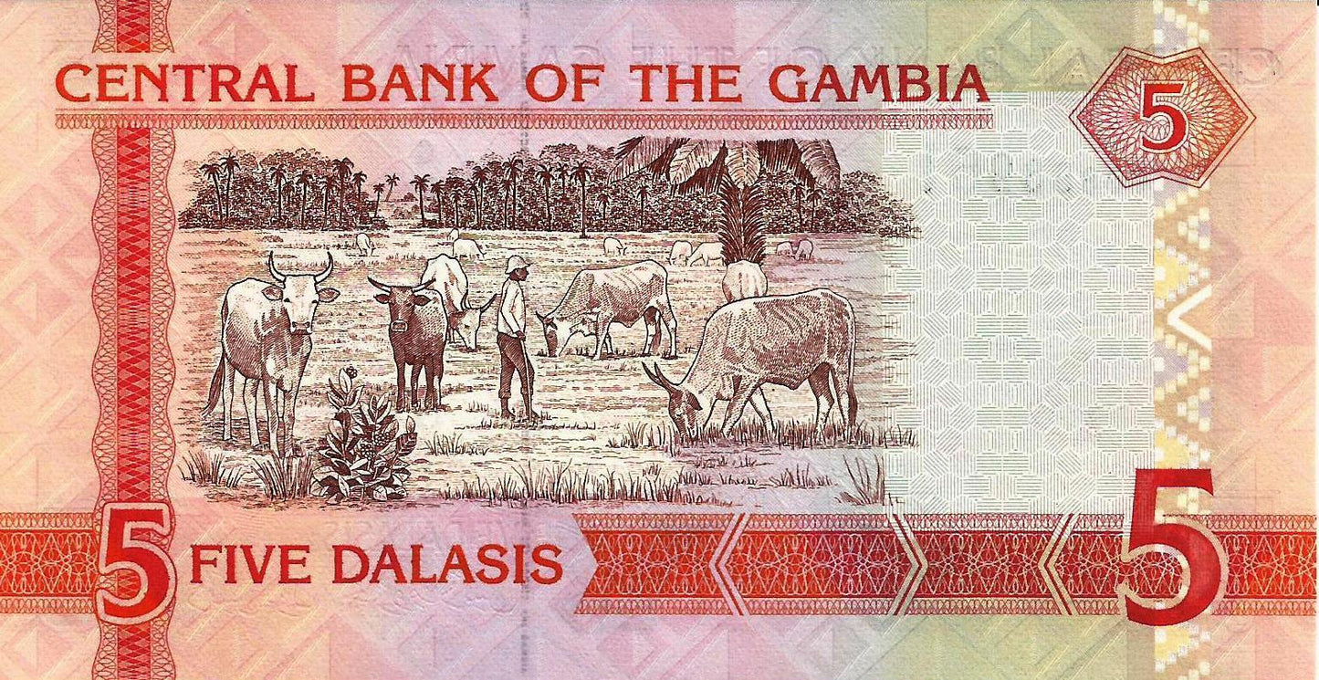 Gambia - 5 Dalasis 2013 (# 25c)