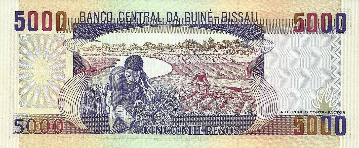 Guiné Bissau - 5000 Pesos 1993 (# 14b)