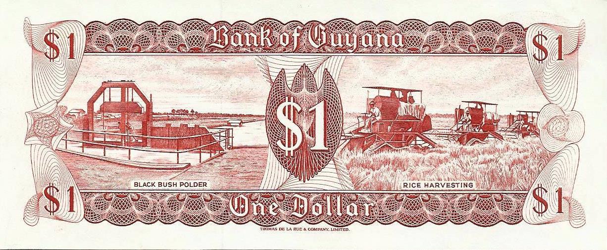 Guiana - 1 Dolar 1989 (# 21f)