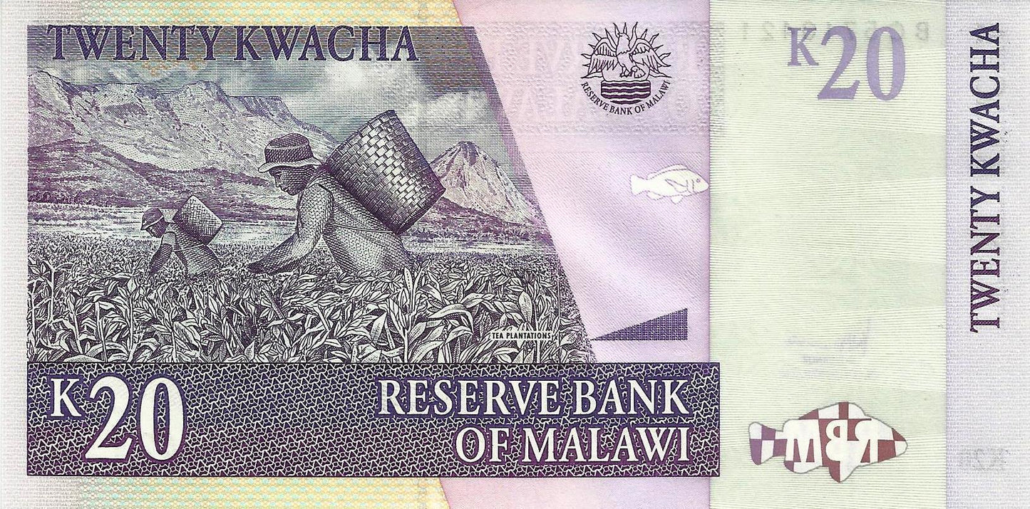 Malawi - 20 Kwacha 2007 (# 52d)
