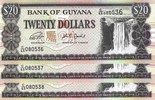 Guiana - 20 Dolares 2016 (# 30g)