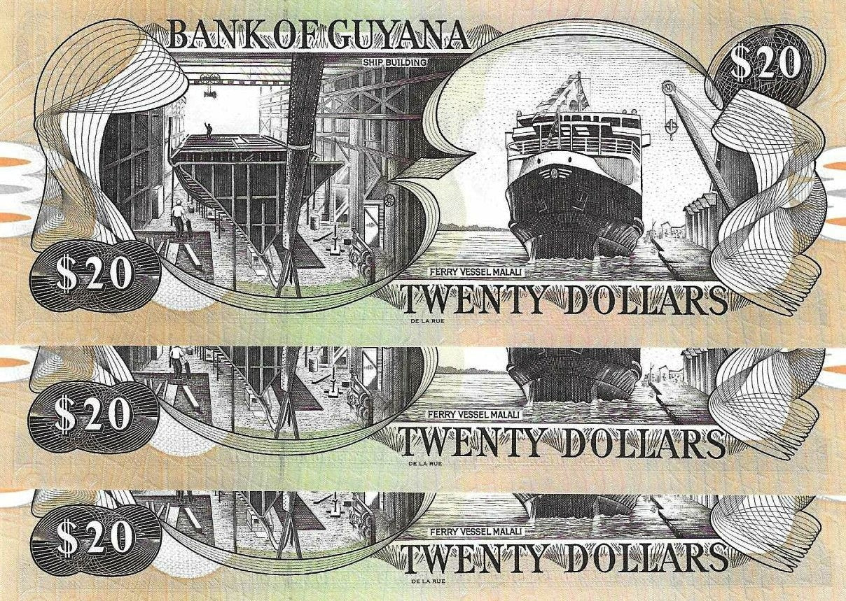 Guiana - 20 Dolares 2016 (# 30g)