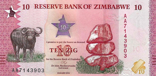 Zimbabwé - 10 Zig 2026 (# ..)