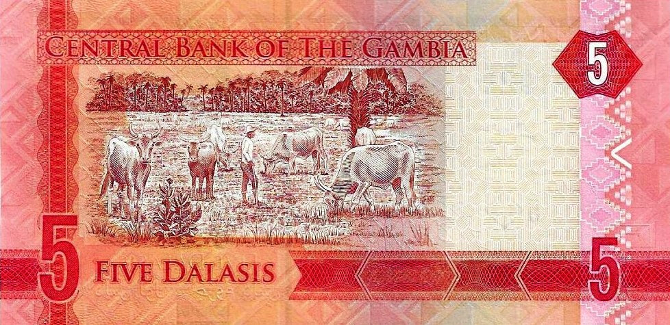 Gambia - 5 Dalasis 2015 (# 31)