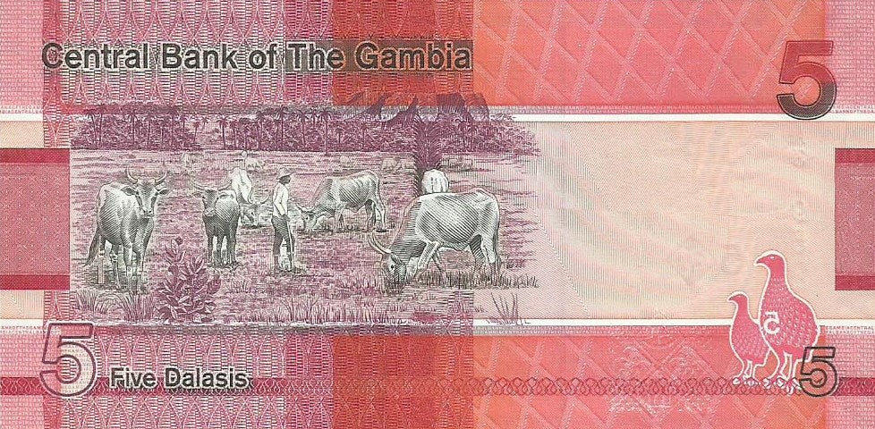 Gambia - 5 Dalasis 2019 (# 37)