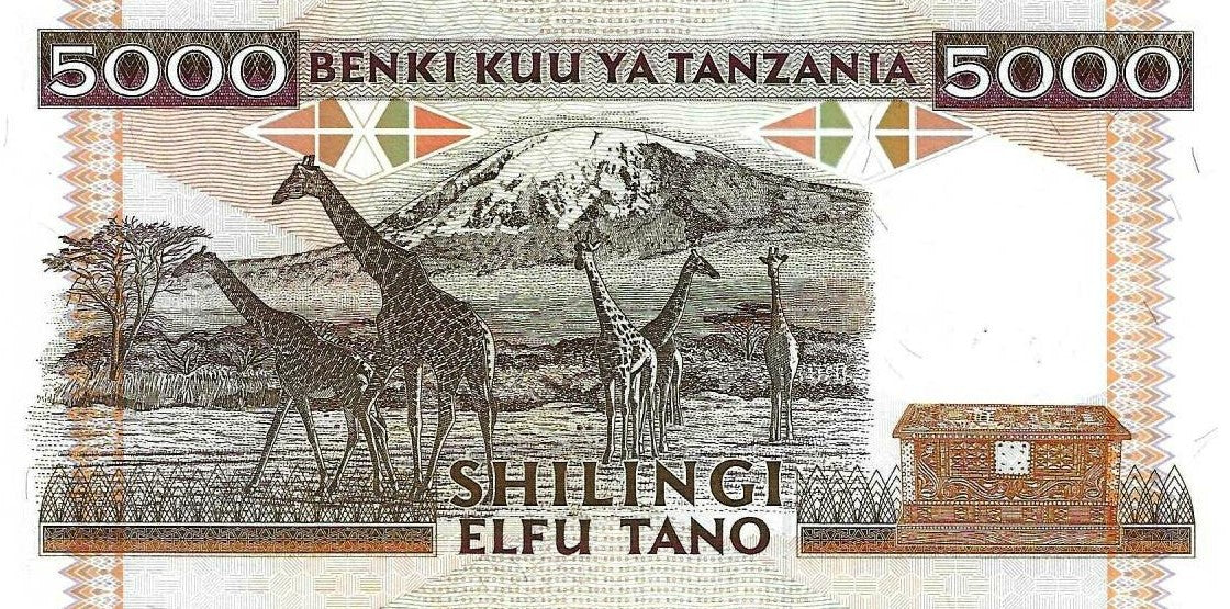 Tanzania - 5000 Shillings 1995 (# 28)