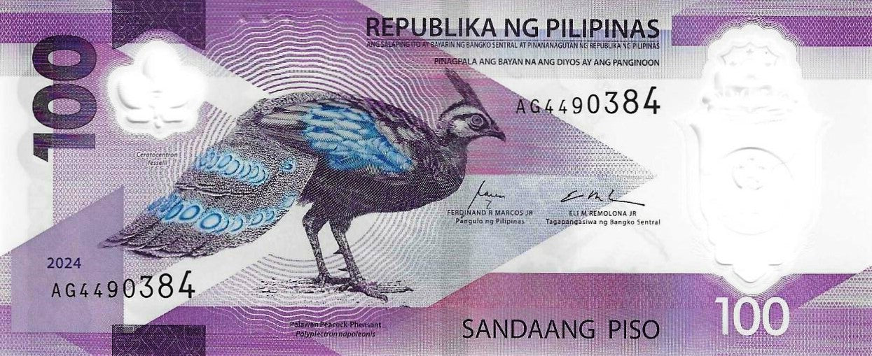 Filipinas - 100 Piso 2024 (# 238a)