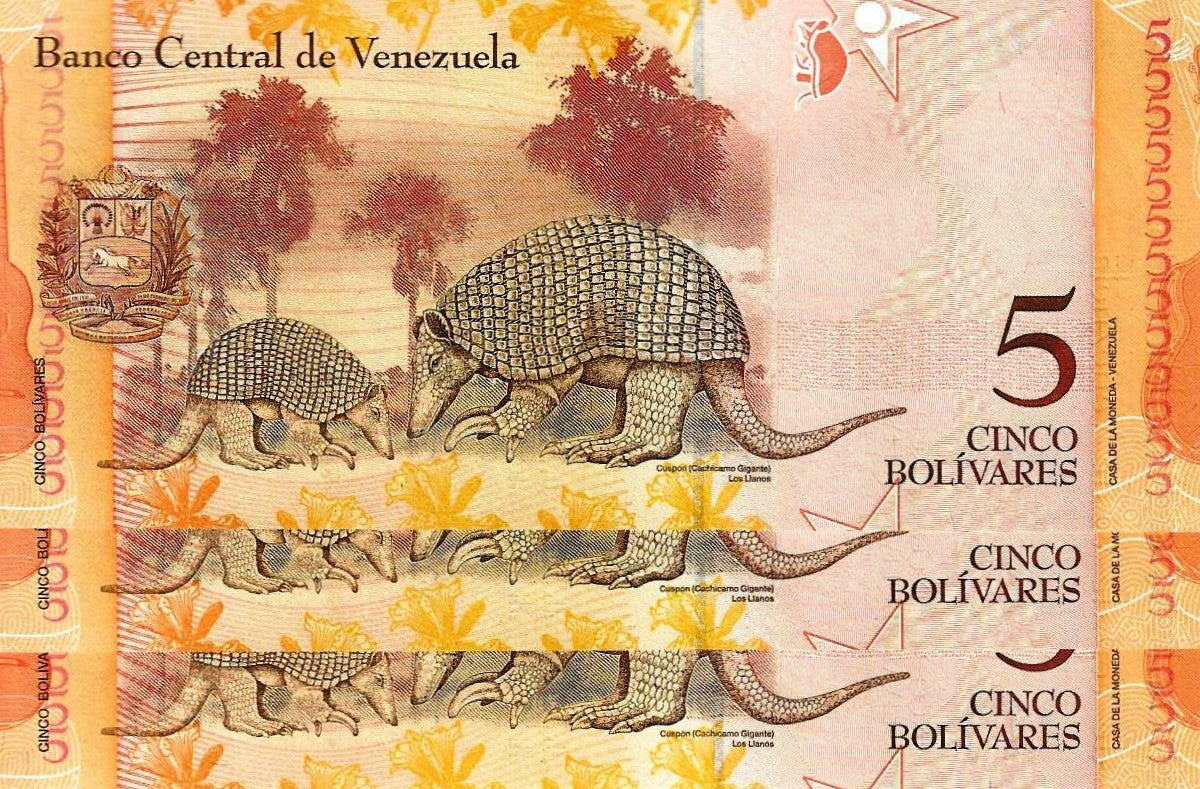 Venezuela - 5 Bolivares 2009 (# 89)