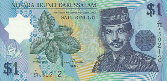 Brunei - 1 Ringgit 2008 (# 22c)