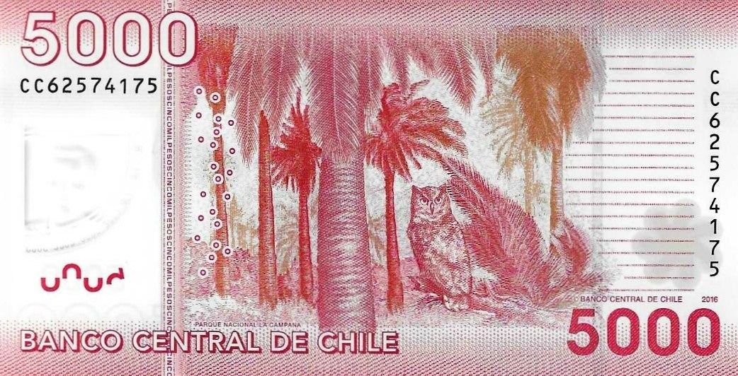 Chile - 5000 Pesos 2016 (# 163g)
