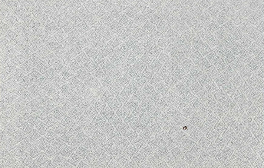 Austria 10 Heller 1920 Jpr0451 Klagenfurt NVMVS austria-10-heller-1920-jpr0451-klagenfurt-nvmvs