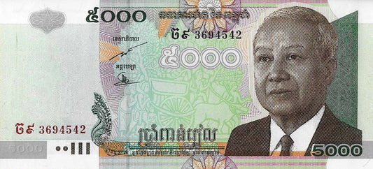Cambodja - 5000 Riels 2007 (# 55d)