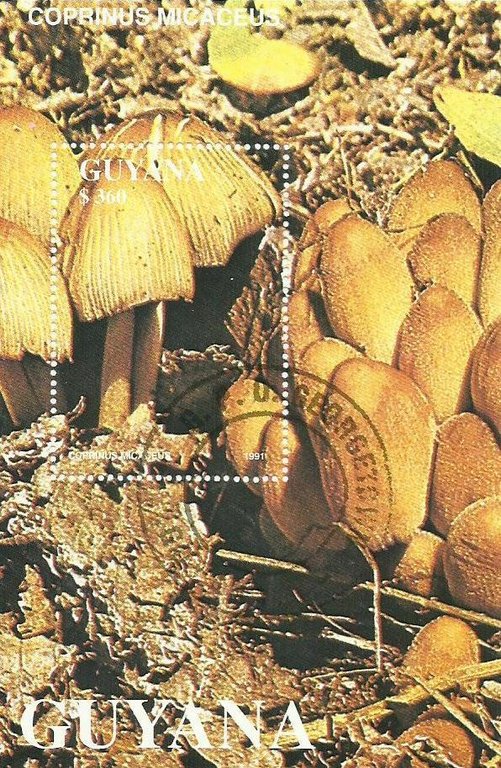 Guiana - 1991