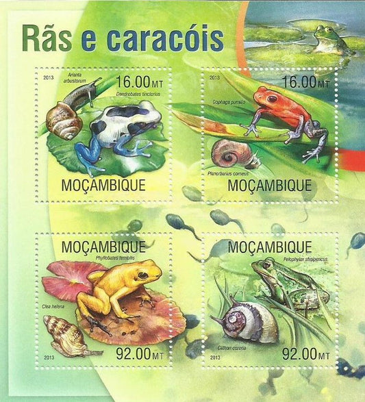 Moçambique - Rãs e caracois 2013
