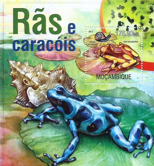 Moçambique - Rãs e caracois 2013