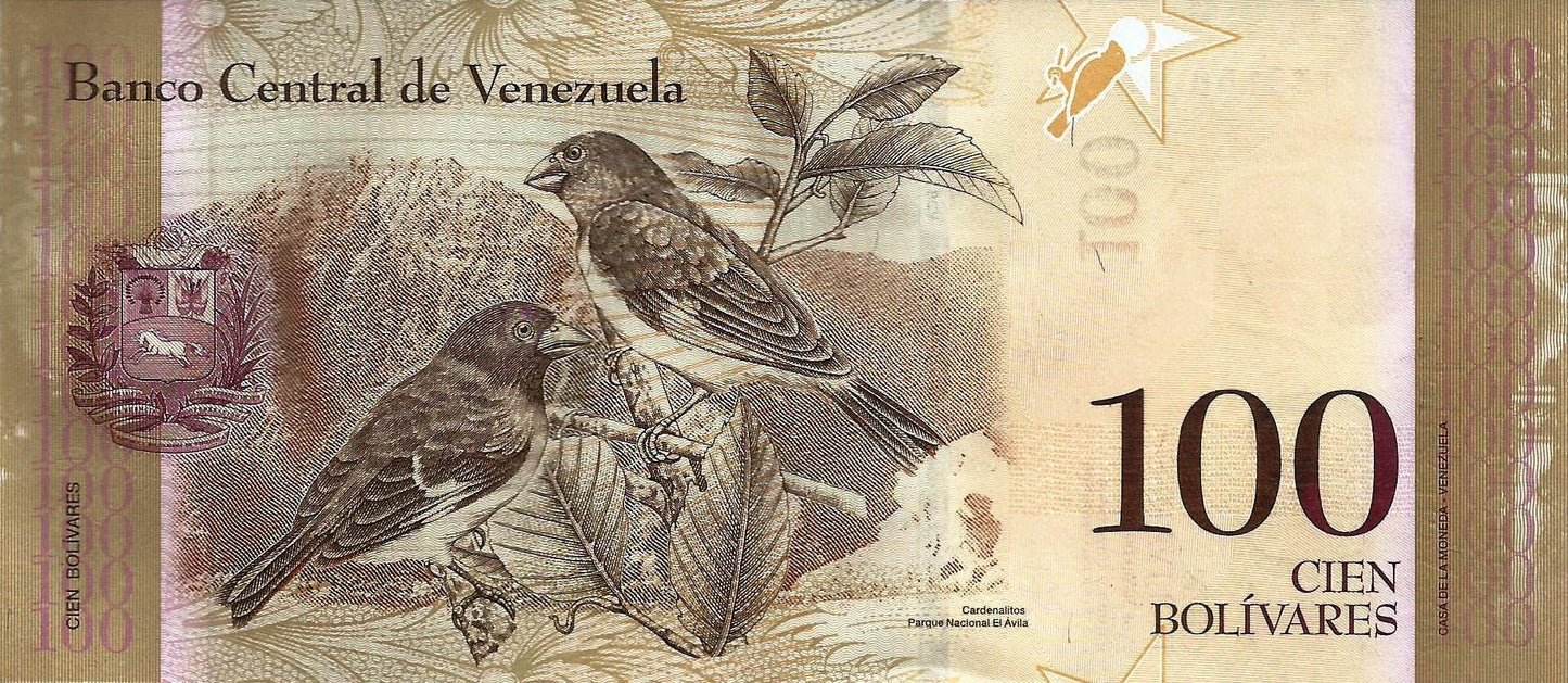 Venezuela - 100 Bolivares 2015 (# 93h)